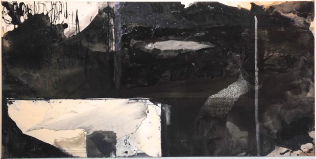 Force_24x48_acrylic_ink_paper_oncanvas